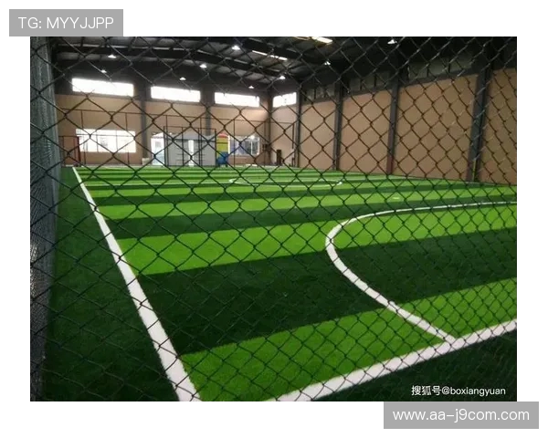 临时场地搭建足球场地的设计与实施策略分析