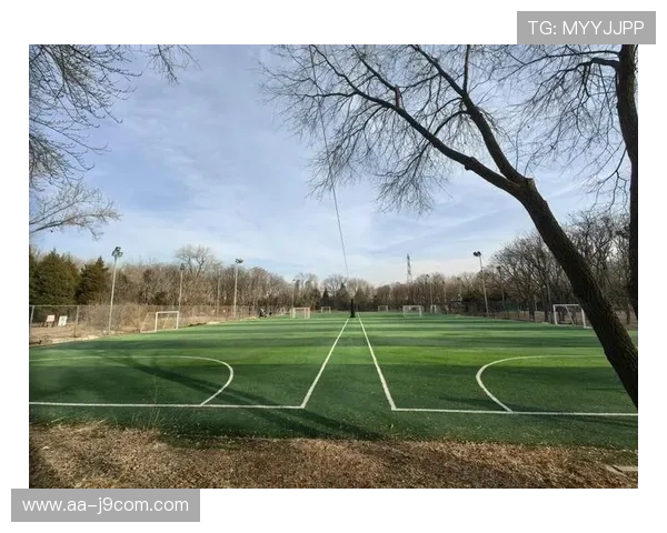 秀英区周边足球场推荐及设施介绍全面指南